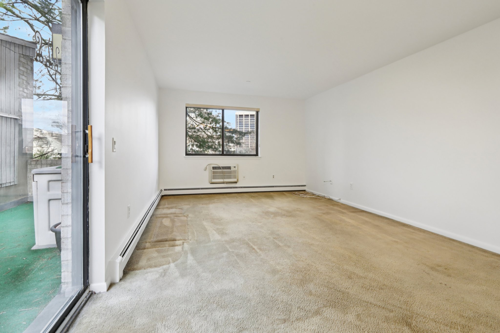 Carhart Ave 210-S1603-014.jpg