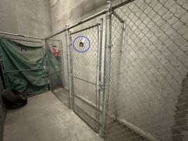  Photo 45