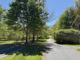 Walking Path