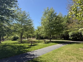 Picnic Tables