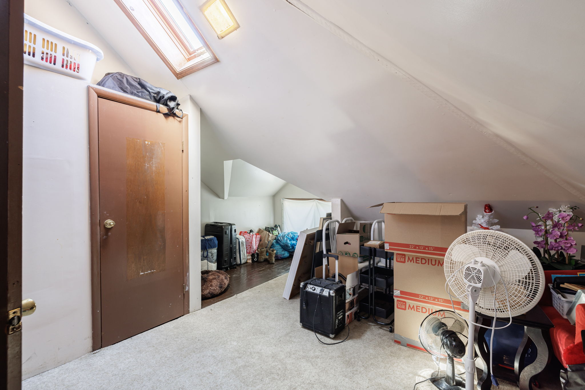  Photo 23