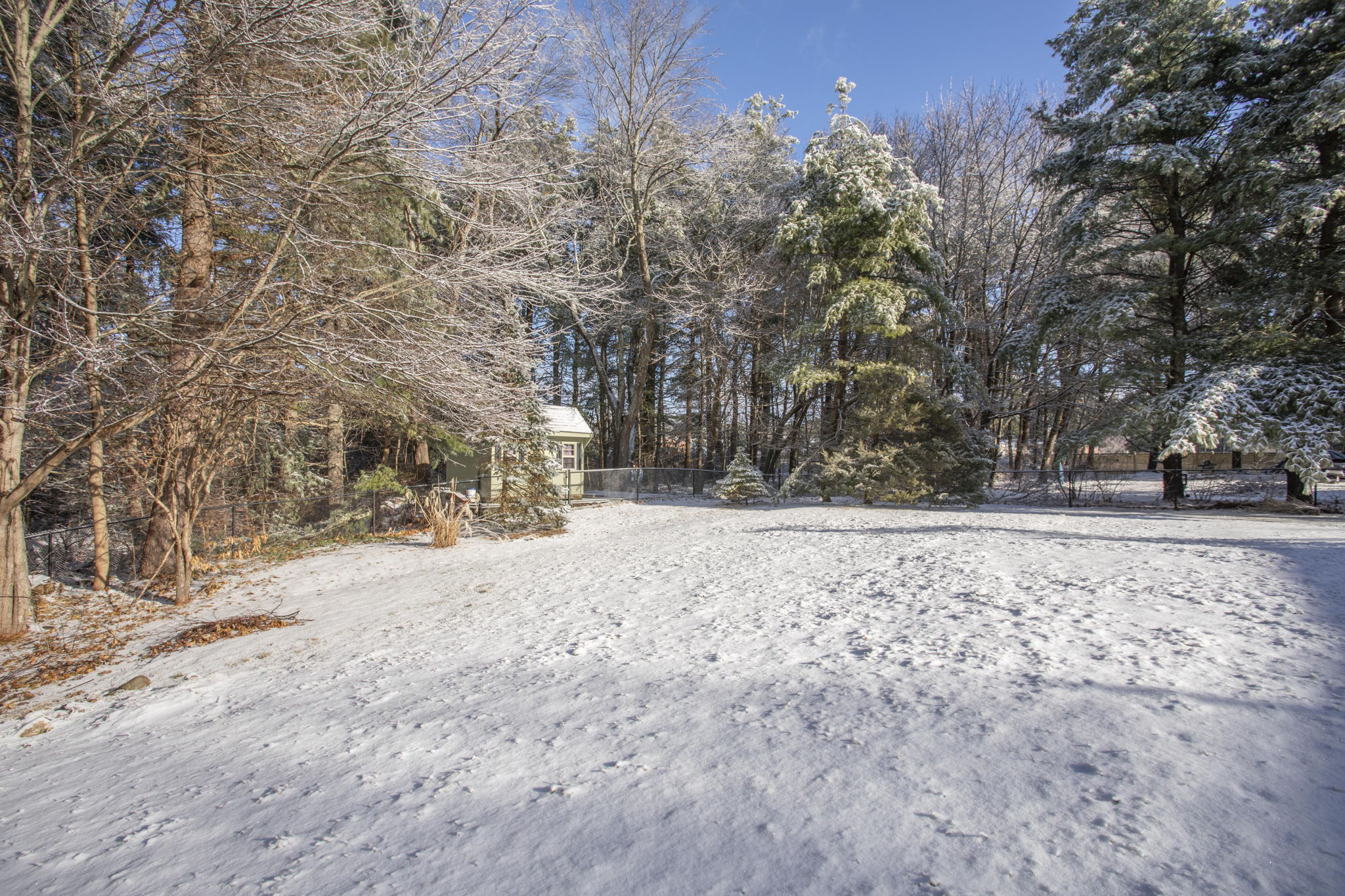  24 King St, Norfolk, MA 02056, US Photo 6