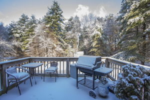  24 King St, Norfolk, MA 02056, US Photo 9