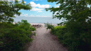  Photo 37
