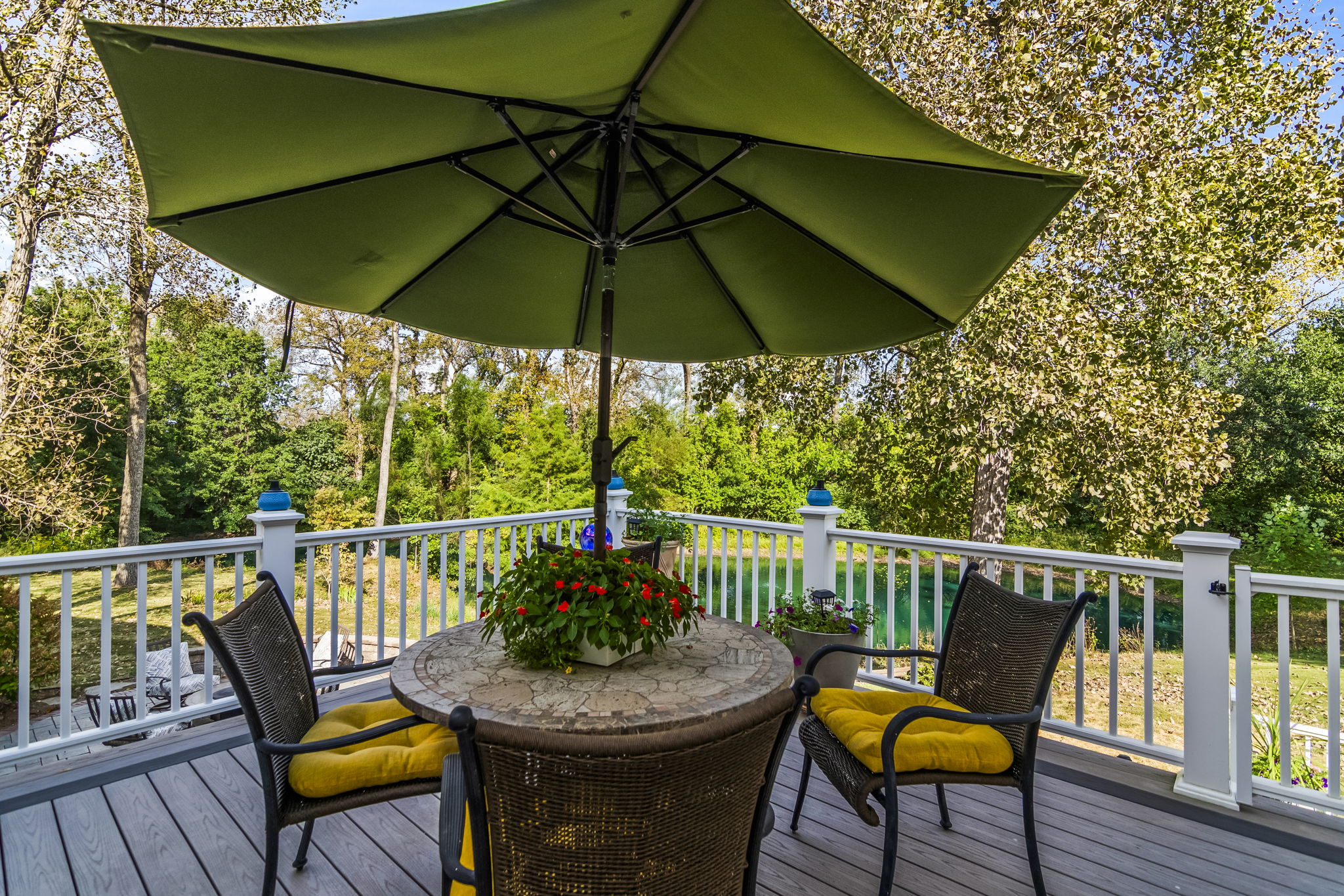 Back
