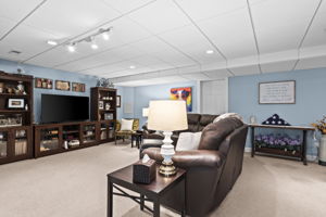 Lower Family Room