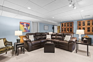 Lower Family Room