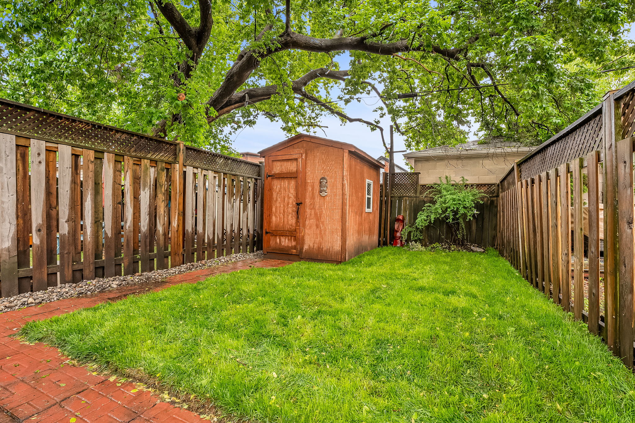 41-backyard1