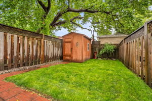 41-backyard1