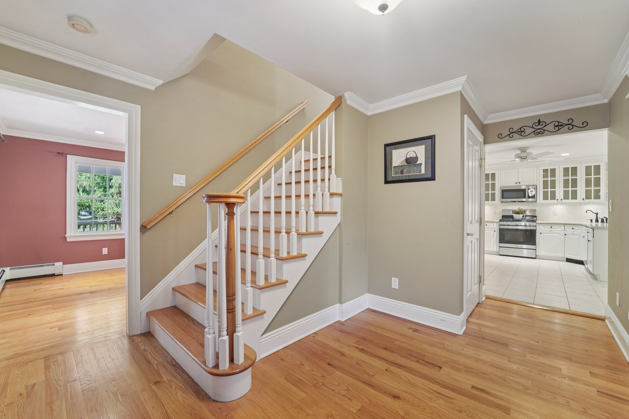 Scott Ct-S1010-020.jpg