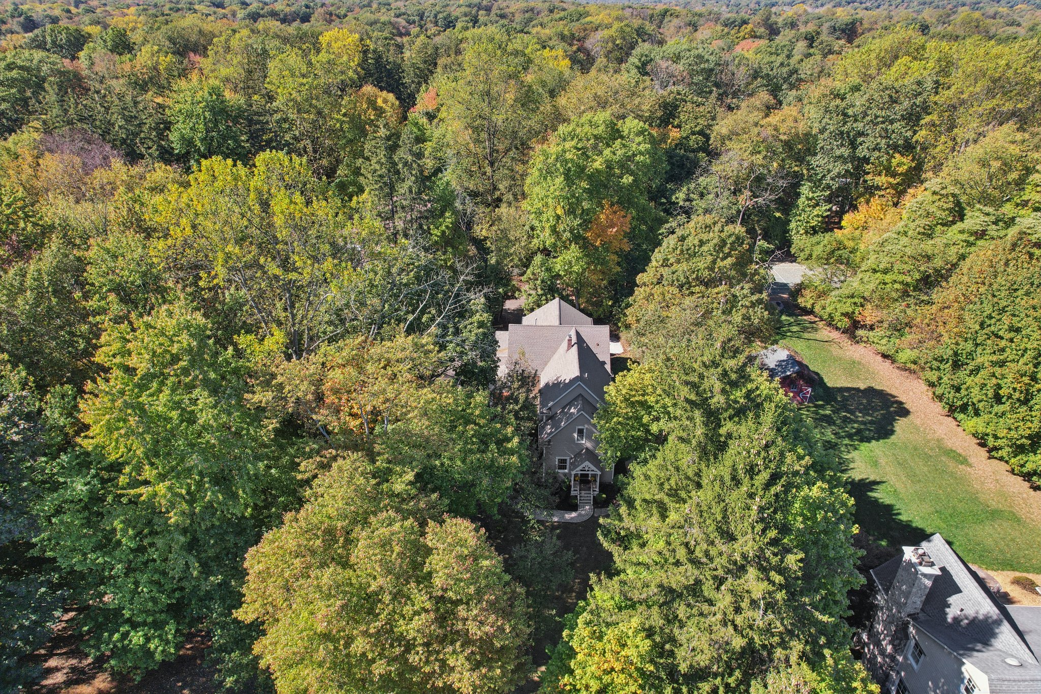 Scott Ct-S1010-073.jpg