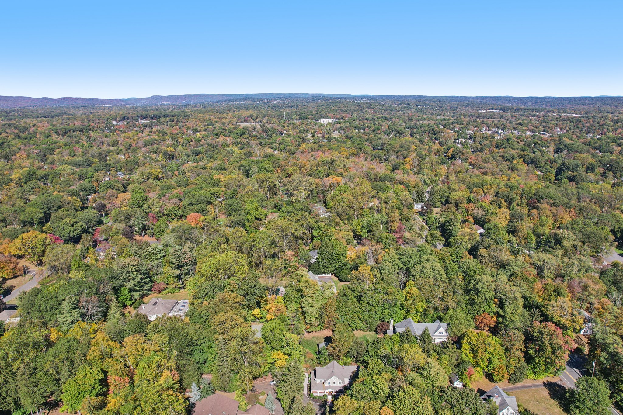 Scott Ct-S1010-074.jpg