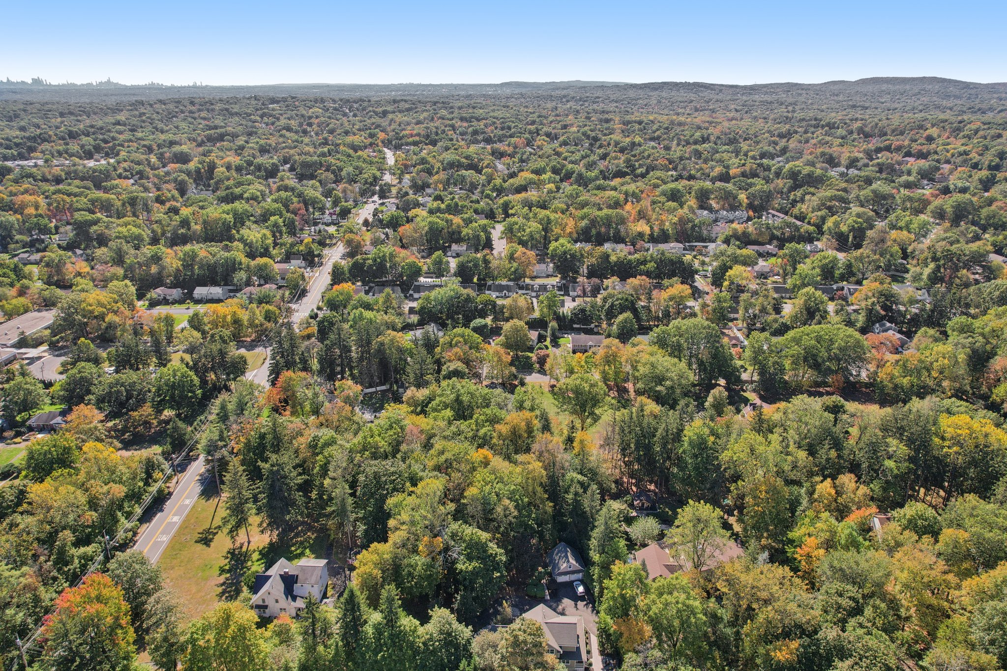 Scott Ct-S1010-079.jpg