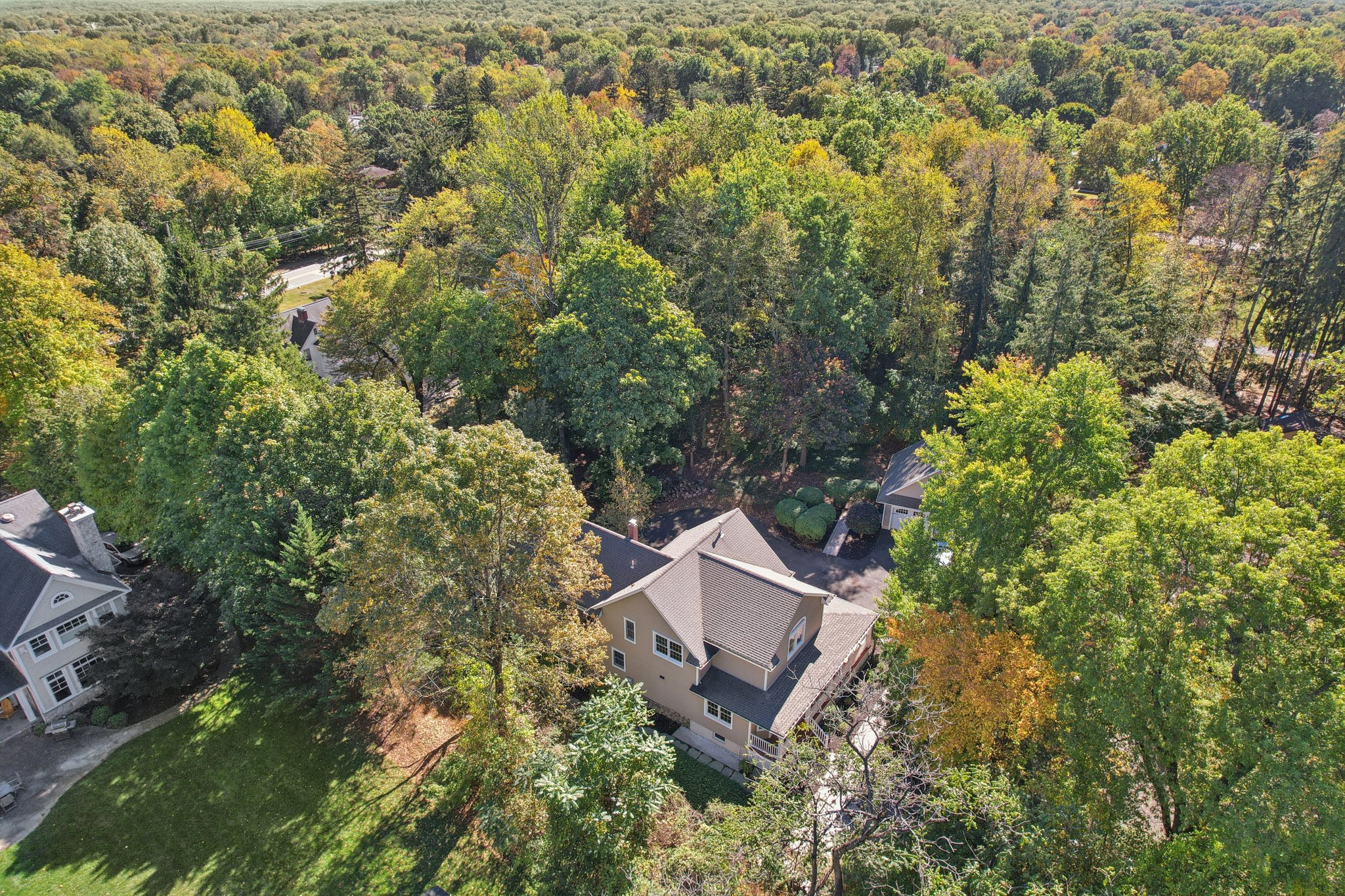 Scott Ct-S1010-081.jpg