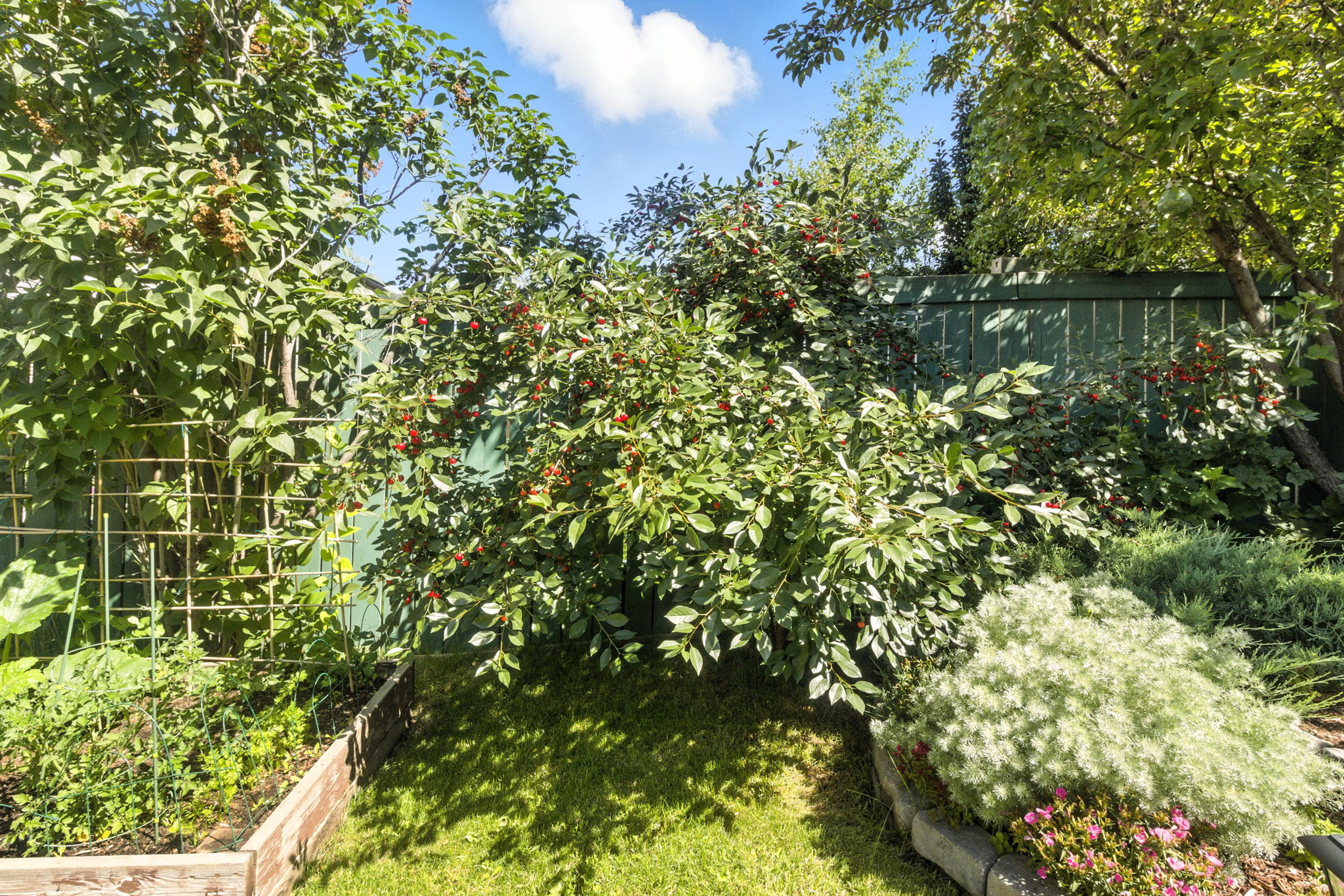  Photo 48