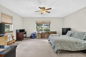  Photo 47