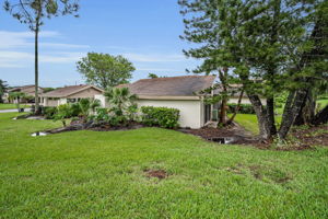 Backyard3