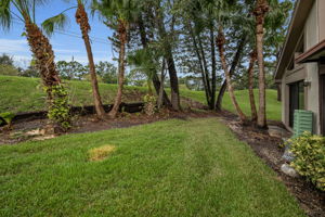 Backyard5