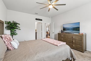 Middle Grn Lp-S1707-029.jpg
