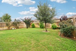 Middle Grn Lp-S1707-051.jpg