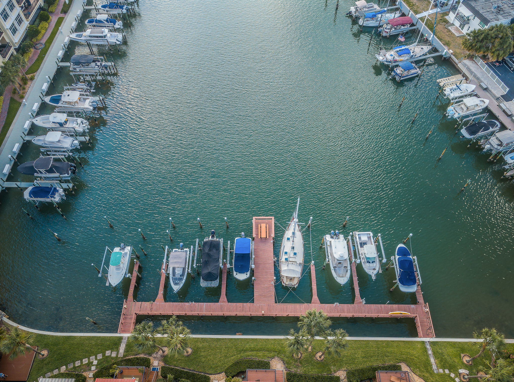 Aerial4