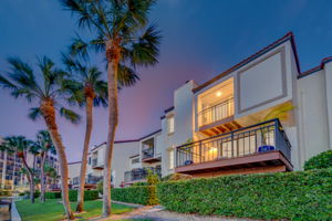 Backyard3