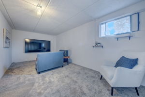 Lower Level Family Room1
