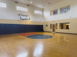 Photo 43