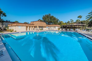 6-Pool
