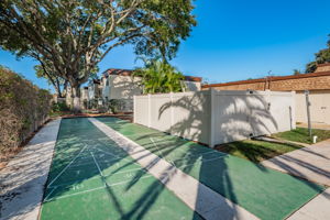 10-Shuffleboard