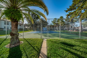 11-Tennis and Pickleball Court