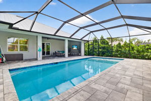 Swimming Pool 1