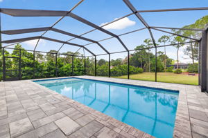 Swimming Pool 3