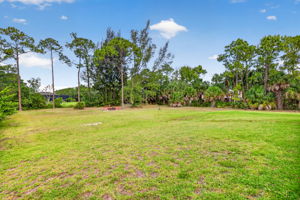 Backyard 1