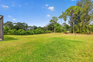 Backyard 2