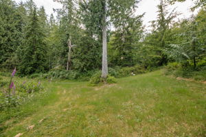  Photo 56