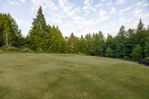  Photo 52