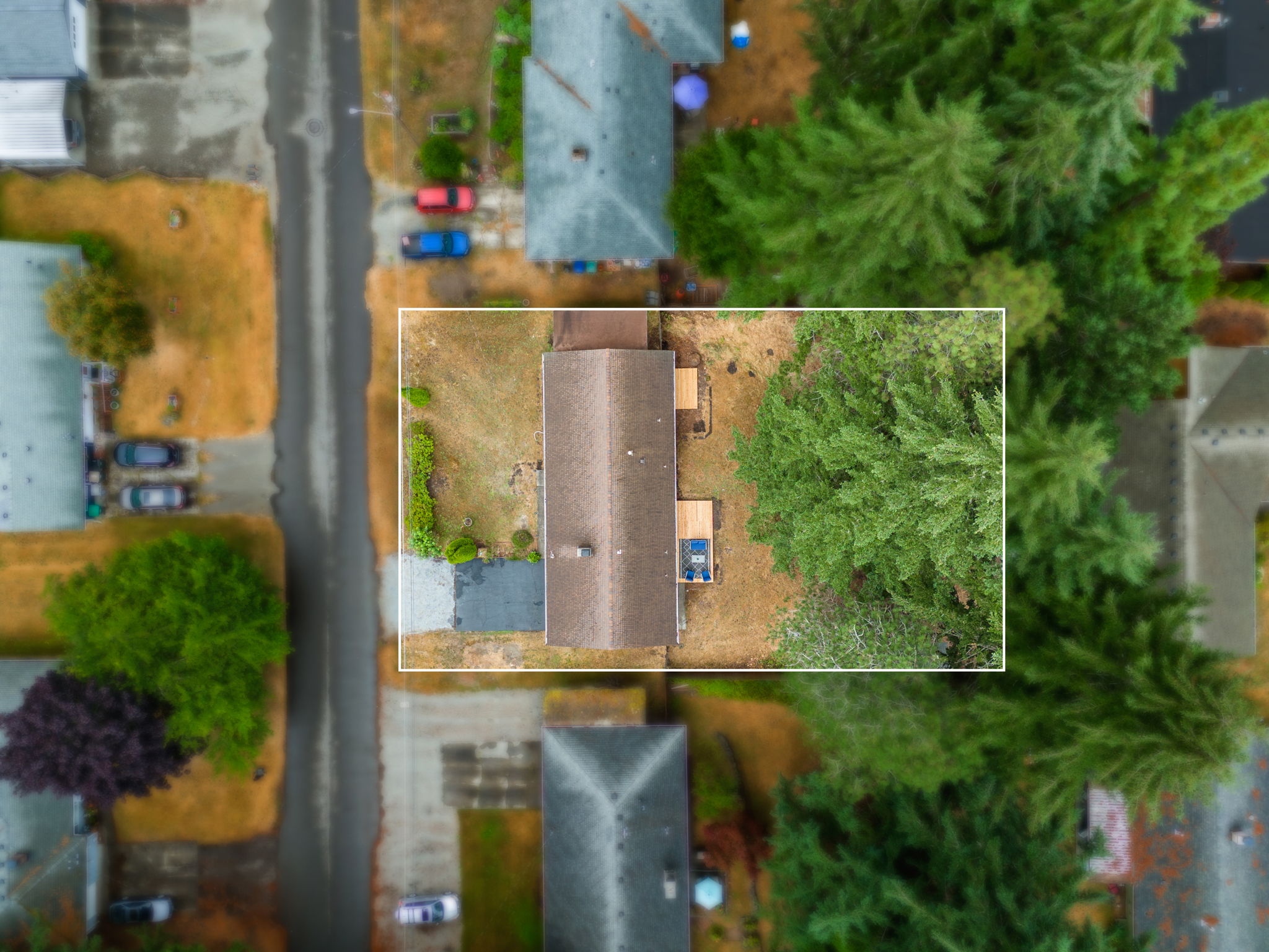  Photo 42