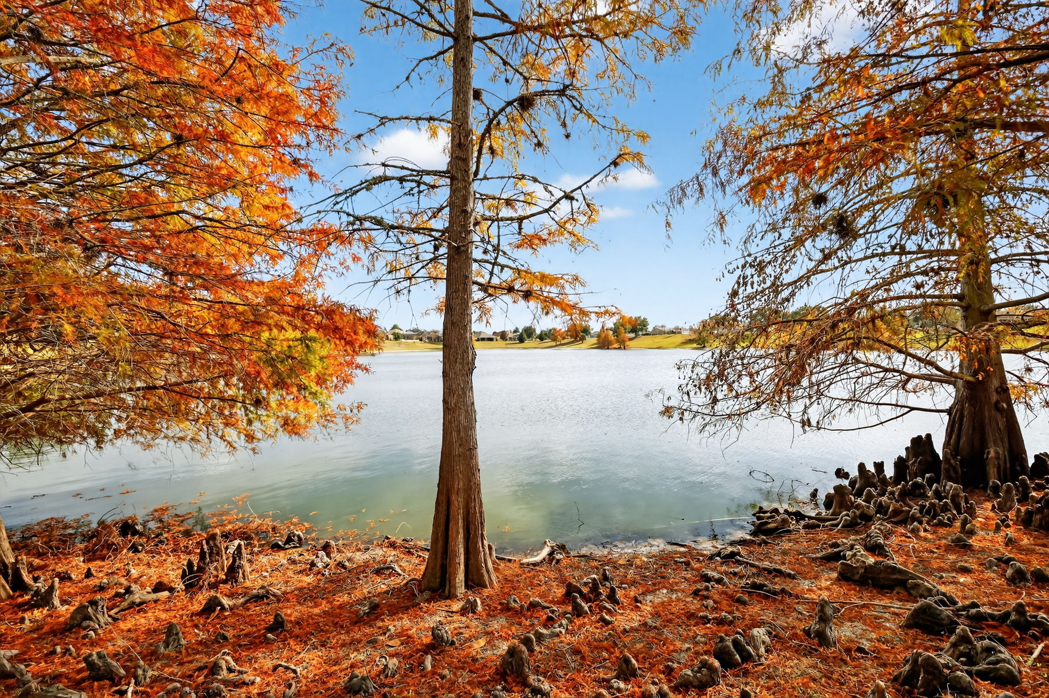 Spectacular Water Views!