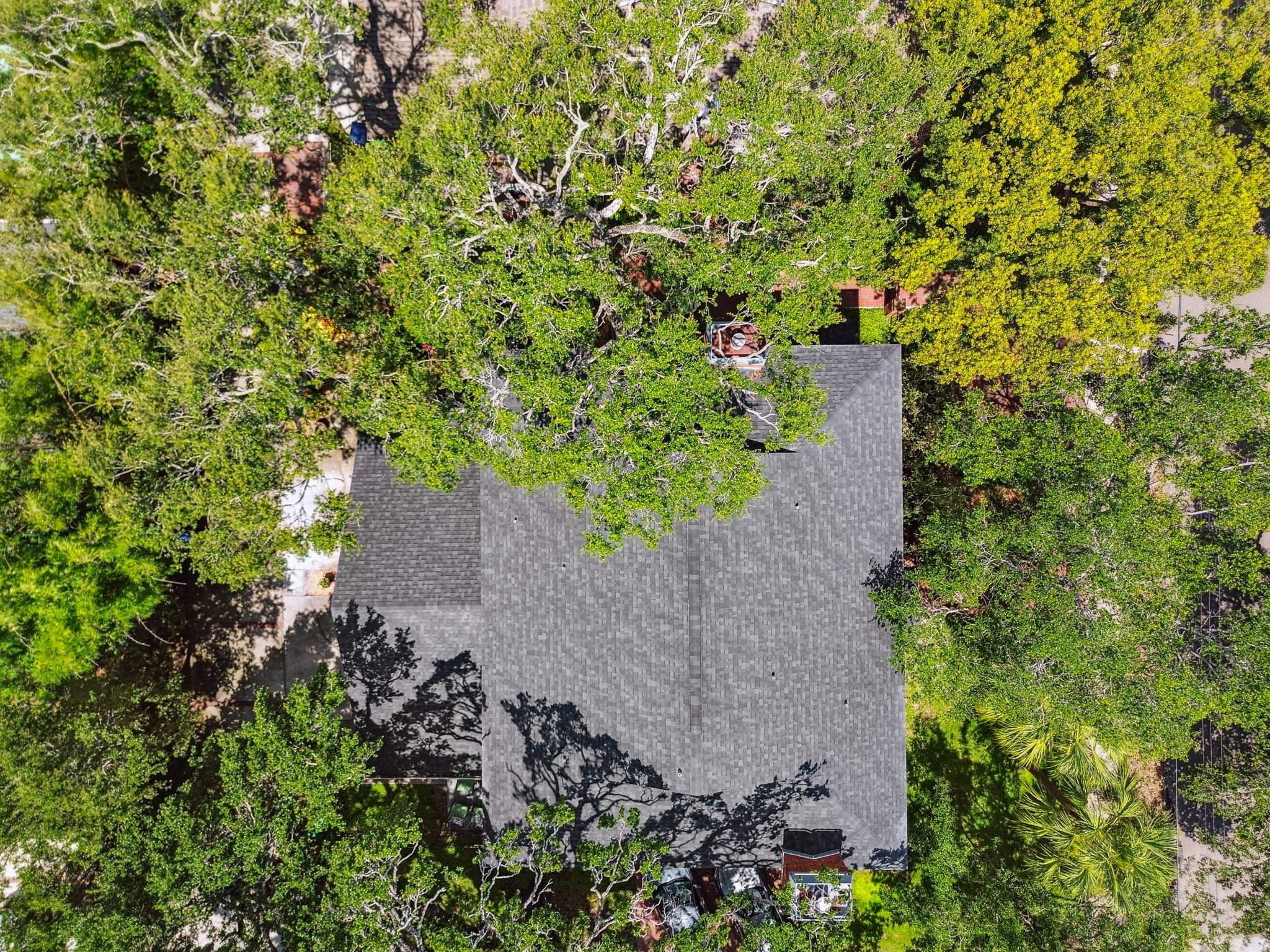 DJI_0867