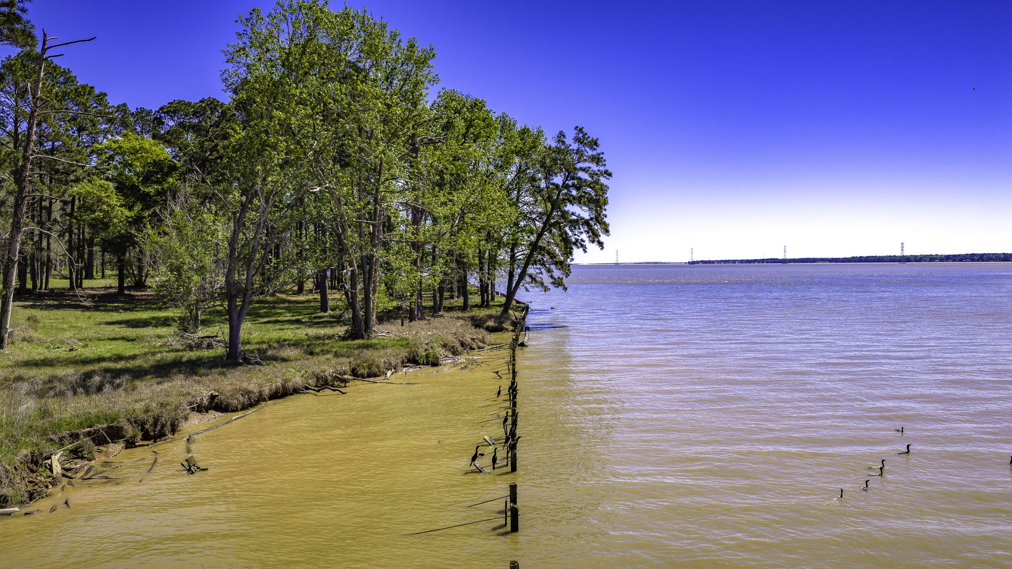  Photo 40