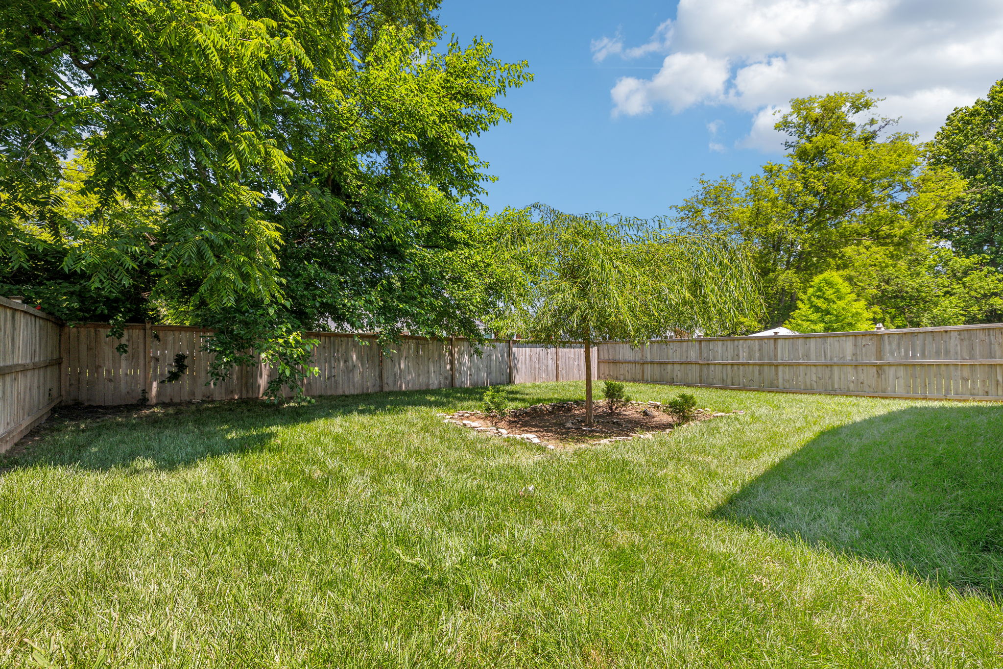  Photo 59
