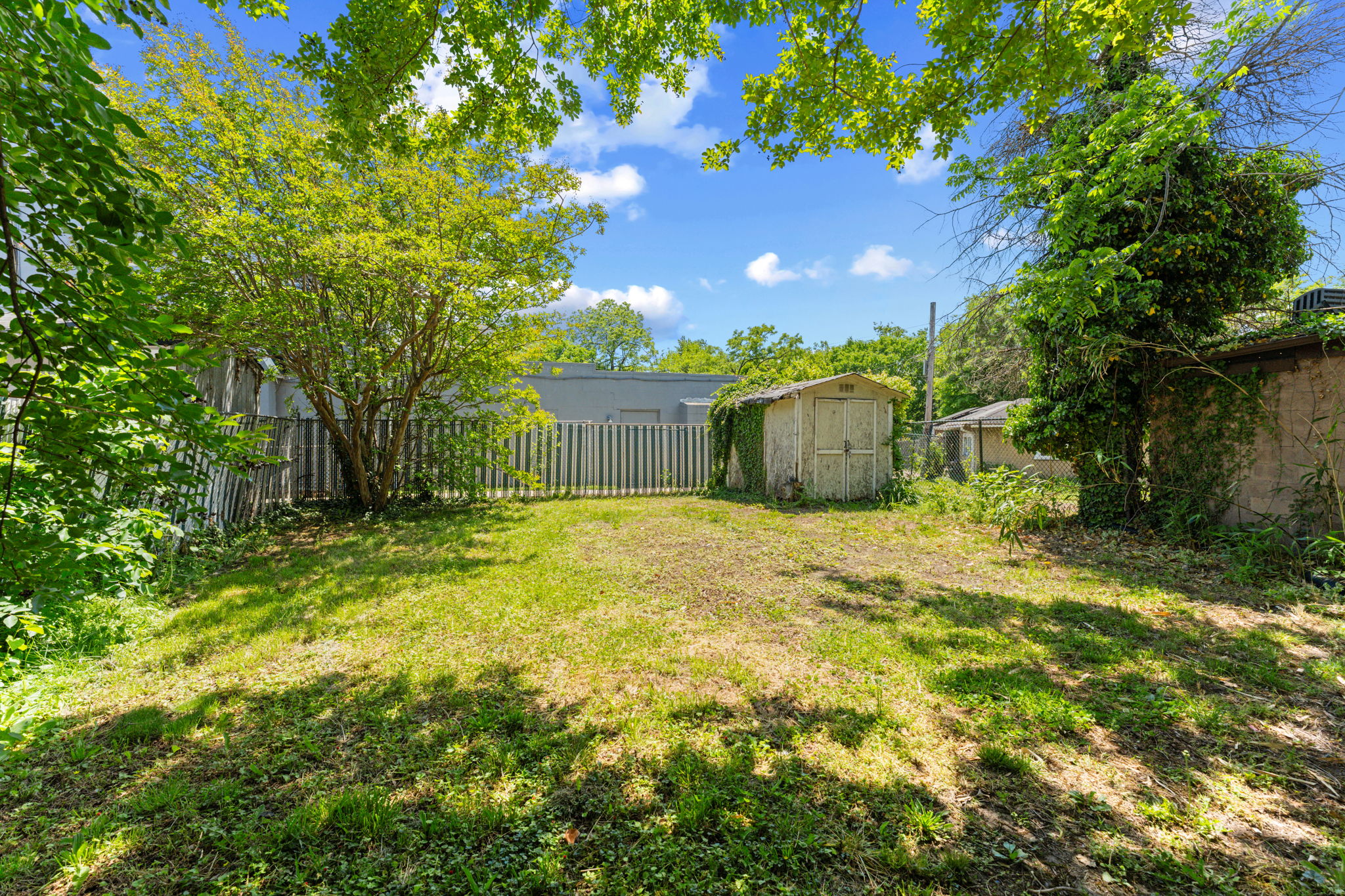 Back Yard