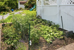  Photo 52