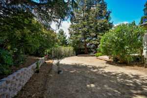  Photo 37