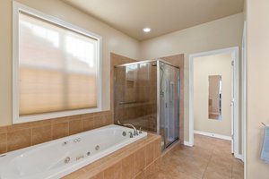 Bathroom with Large Jacuzzi Tub and Separate Shower