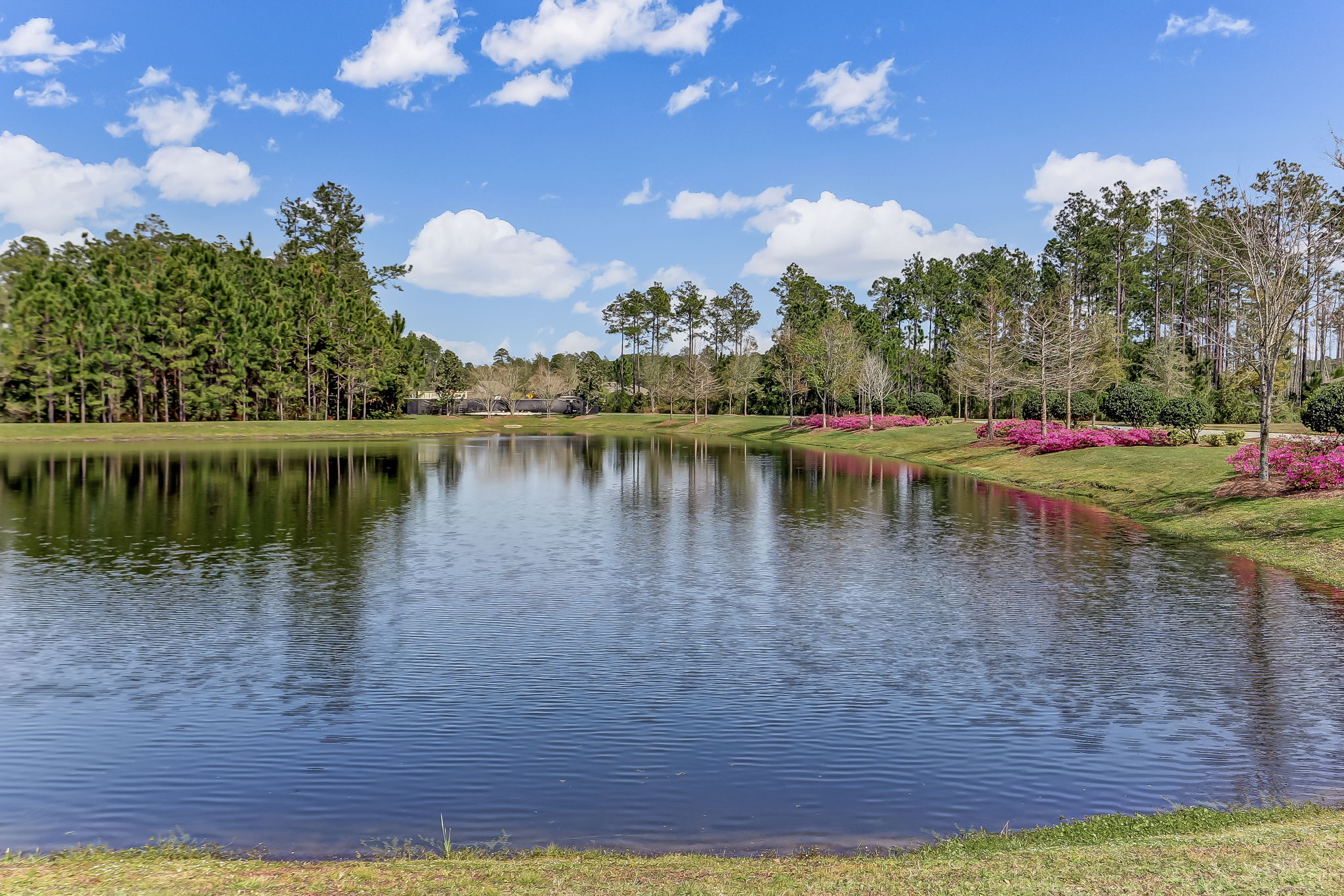 Del Webb