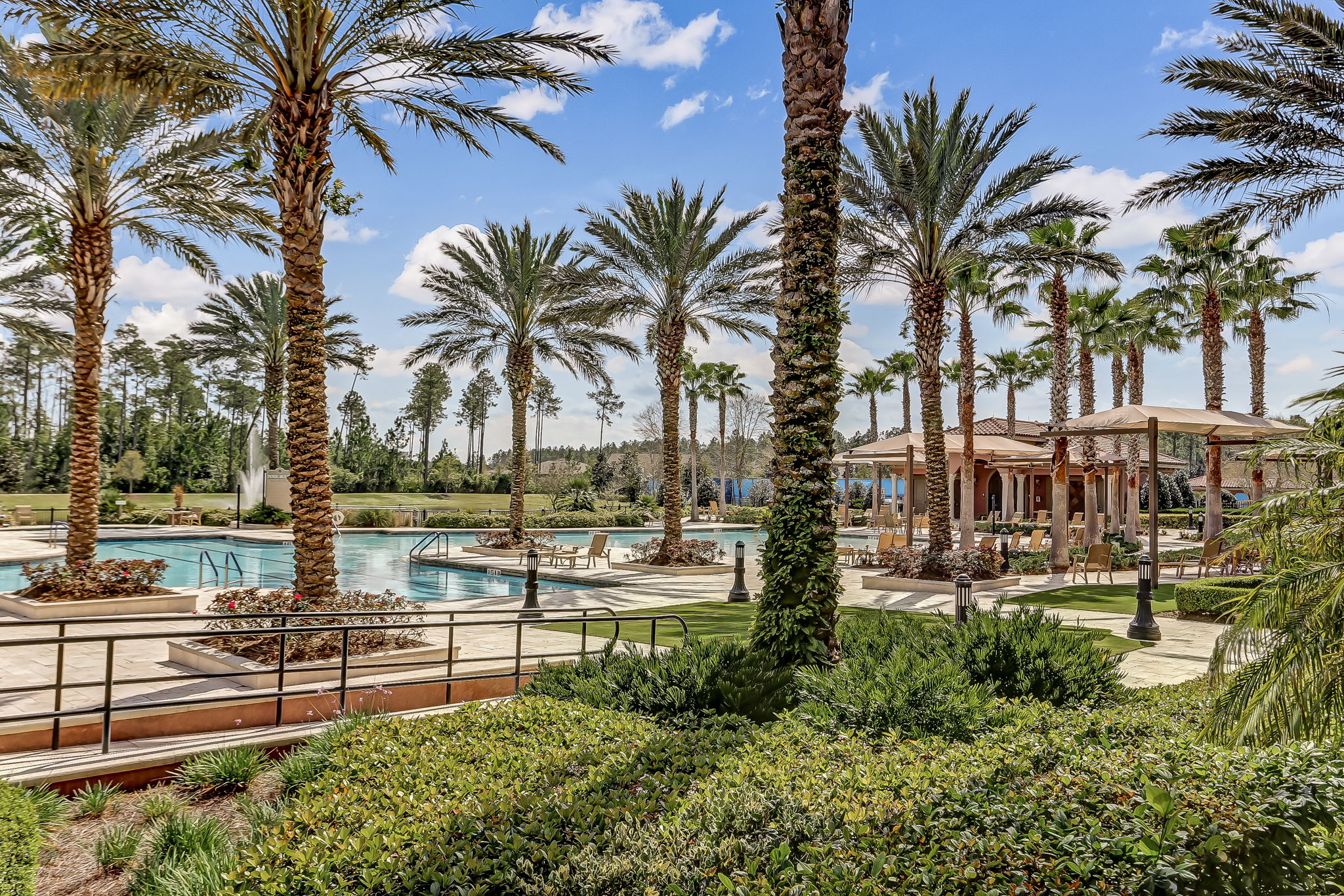 Del Webb