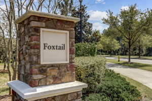 Foxtail