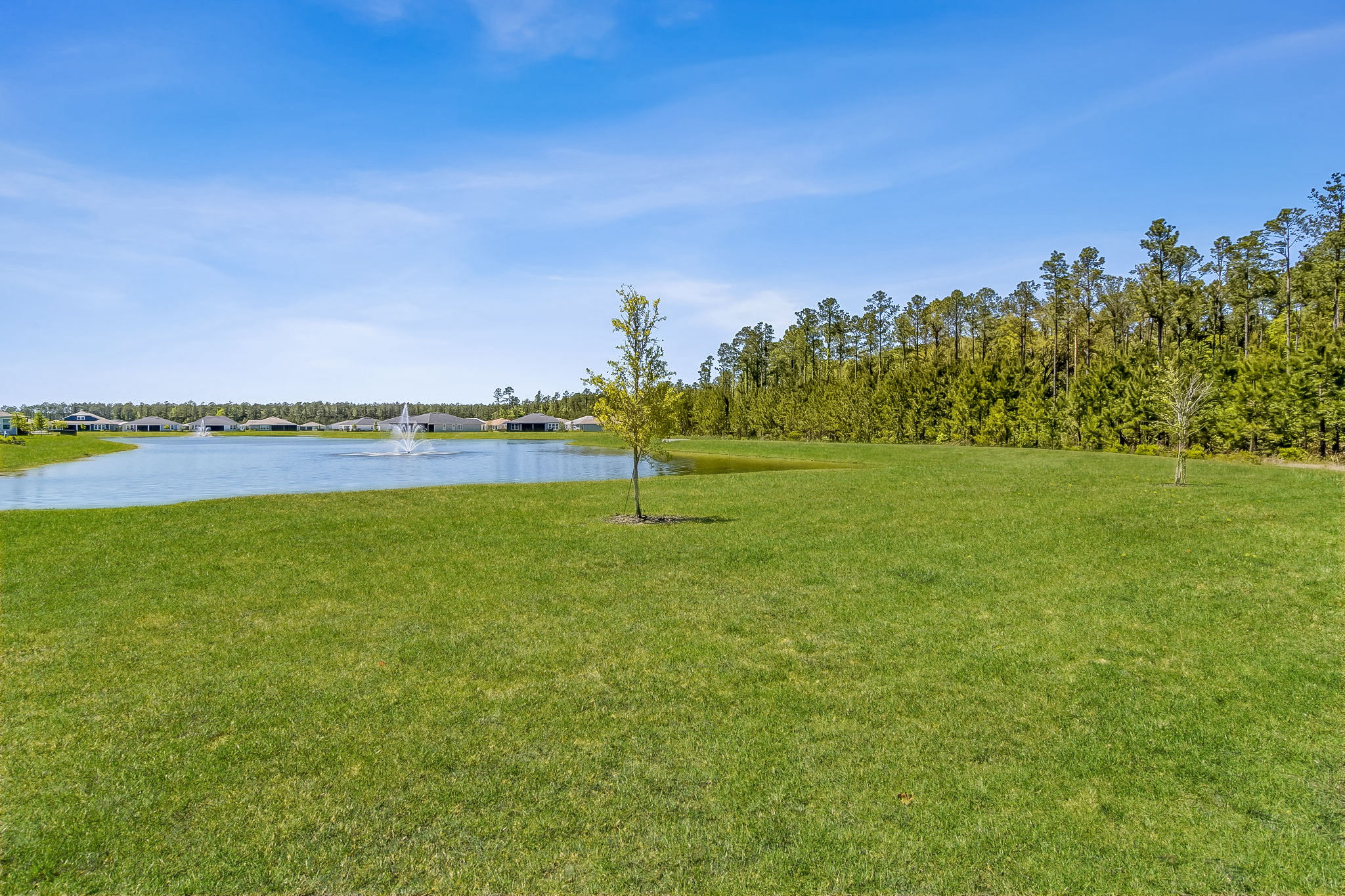 Outside, you'll find your backyard is large, flat ....